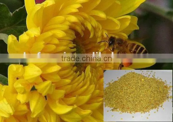 2015 Natural Fresh Rape Flower Beepollen photo-3