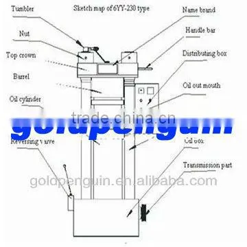QI'E Automatic Almond Oil Press Machine photo-6
