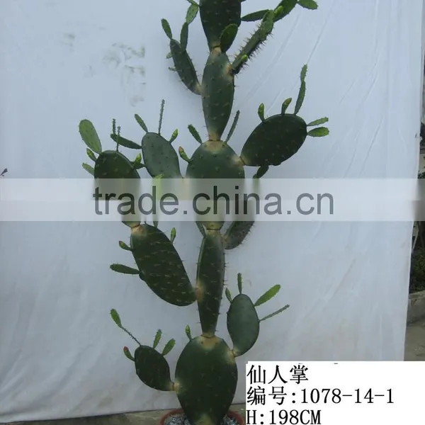 Artificial Outdoor and Indoor Cactus Tree and Plants for Decoration photo-3