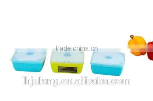 On the Go Plastic Sandwich Box With Cooler/ Plastic Sandwich Container on the Go With Cooler