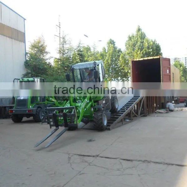 Hot Sale Dingo HZM Brand ZL08/jn908 Mini Loader photo-3