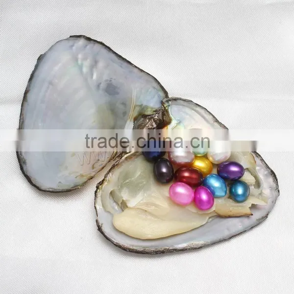 Raw Pearlsfreshwater Cultured Love Wish 9-9.5mm Colored Oyster Pearls photo-3