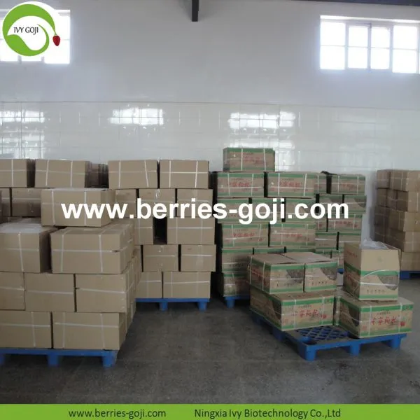 Factory Supply Nutrition Dried Lycium Fruit photo-5