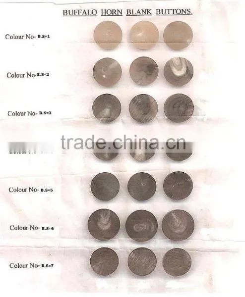 BUFFALO HORN BUTTONS photo-6