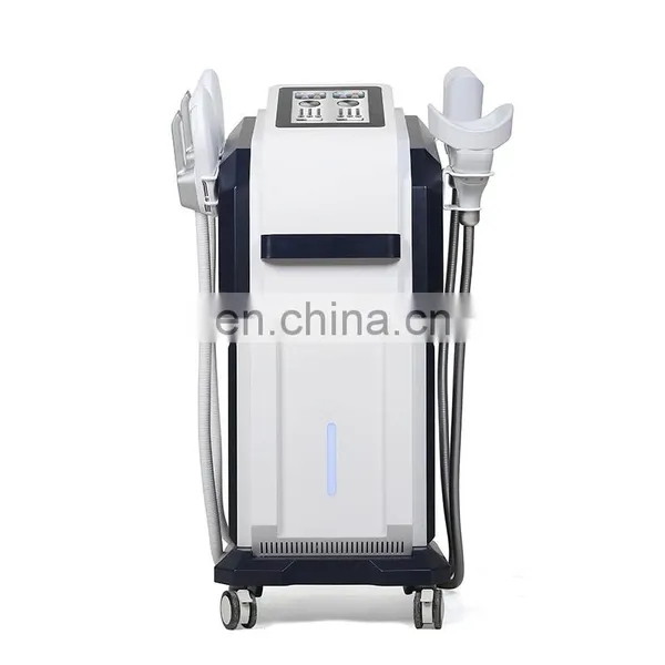 EMS Plus 360 Cryo Fat Cooling Therapy Shaping Beauty Machine photo-2