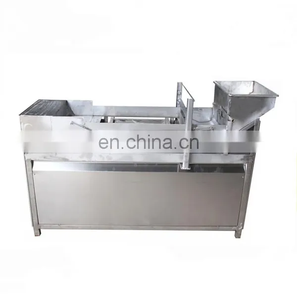 Complete Fruit Leather Making Plant photo-3