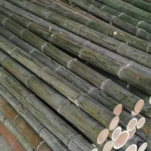 Factory Wholesale Indonesia Round Indian Natural Color Raw Agarbatti 1.3mm Bamboo Incense Sticks for Making Incense photo-2