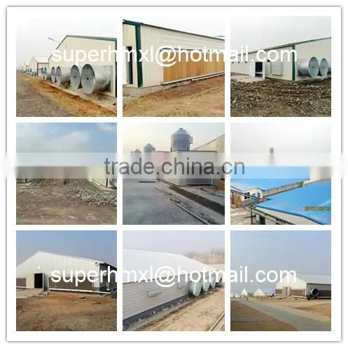 Automatic Poultry Farm Equipment for Chicken photo-6