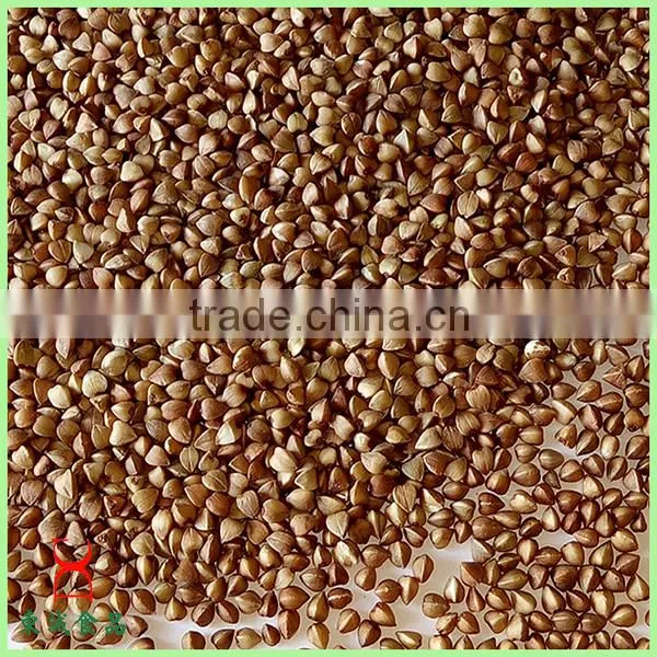 Wholesale Food Grade Brown Roasted Buckwheat Kernels