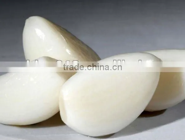 Automaticaly Stainless Steel Garlic Peeling Machine