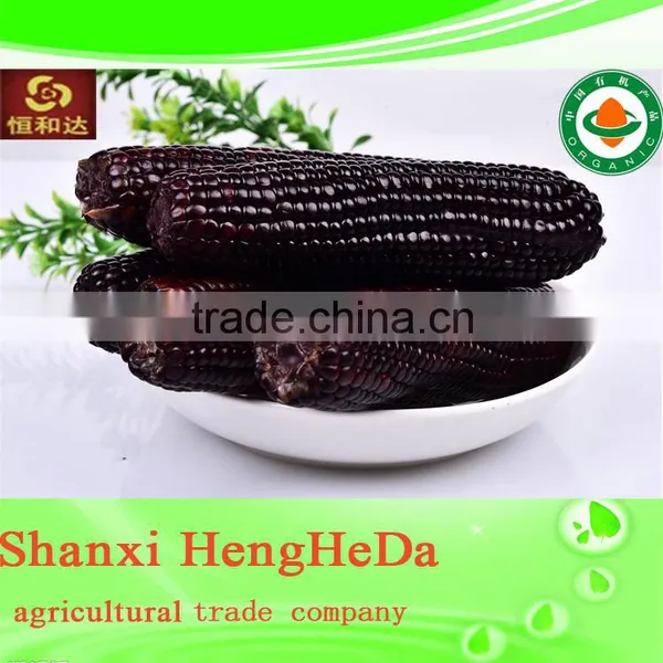 National Flag Perfect Corn photo-4