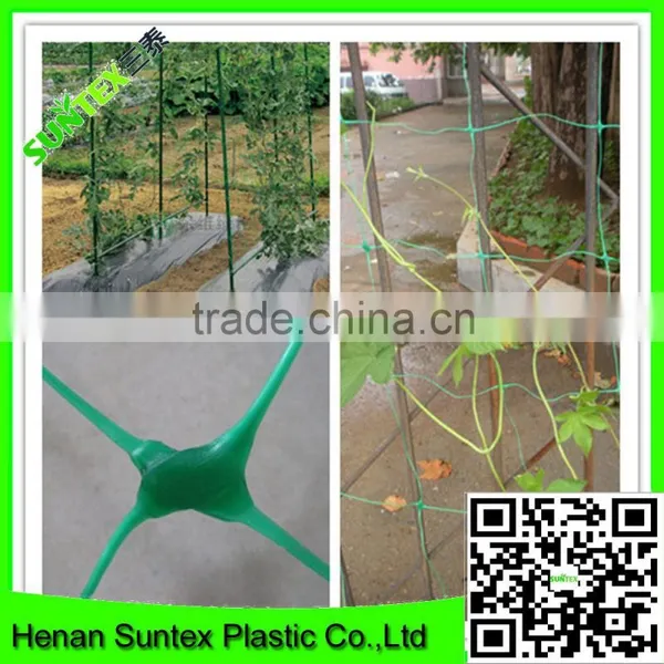 Heavy Duty Long-lasting Trellis Netting Squares Plant Support Mesh photo-5