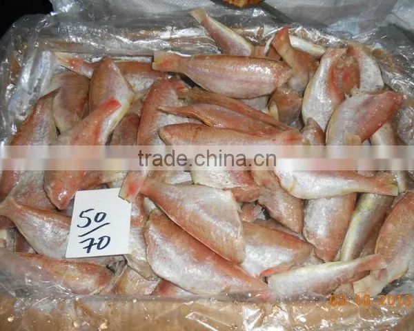 FROZEN SEA BREAM photo-2