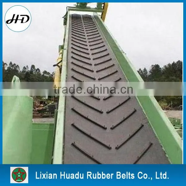 Special Pattern Rubber Conveyor Belt photo-6