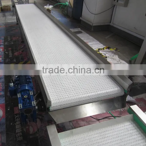 Plastic Modular Belt Conveyor for Vegetable Industry photo-2