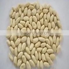 China Blanched Peanut Kernels in Long Shape Best Price photo-4