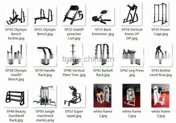 Multi Gym Equipment Bodybuilding Supplements Lateral Raise SP03 photo-3