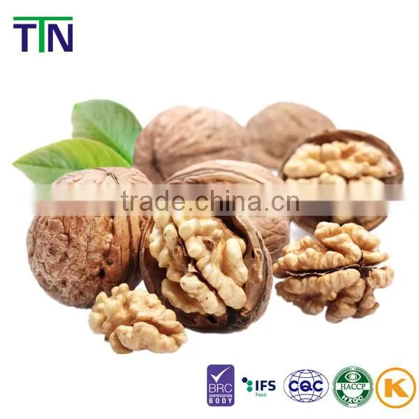 TTN Wholesale Buy Shelled Walnuts for Sell photo-3