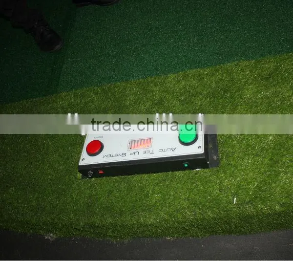 Simulated Golf photo-6