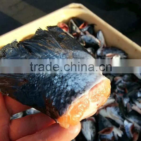 Salmon Tails photo-3