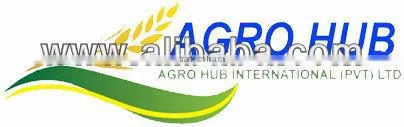 LONG GRAIN IRRI-6 WHITE RICE