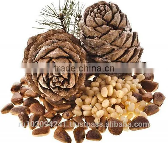 High Quality Pine Nuts From Russia