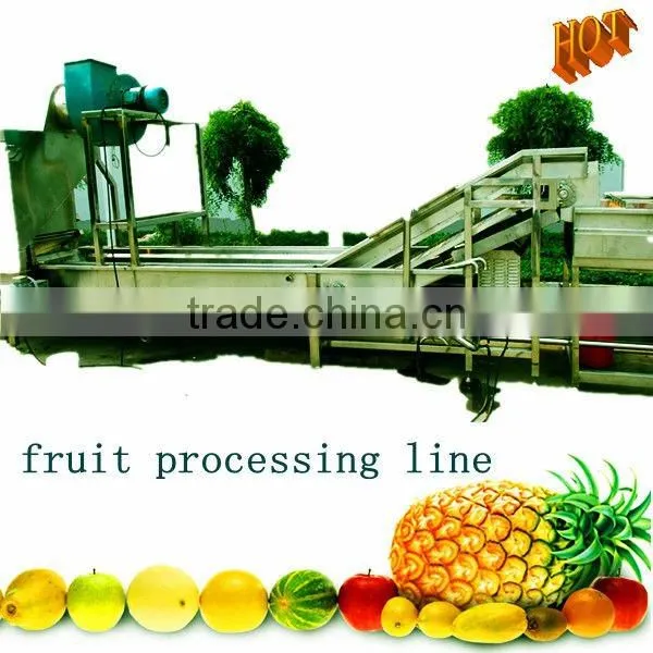 mango /apple cleaning processing line