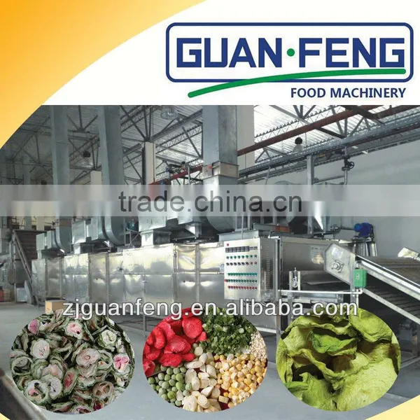 Hot Air Belt Dryer For Vegetables Carrot Processing Machine