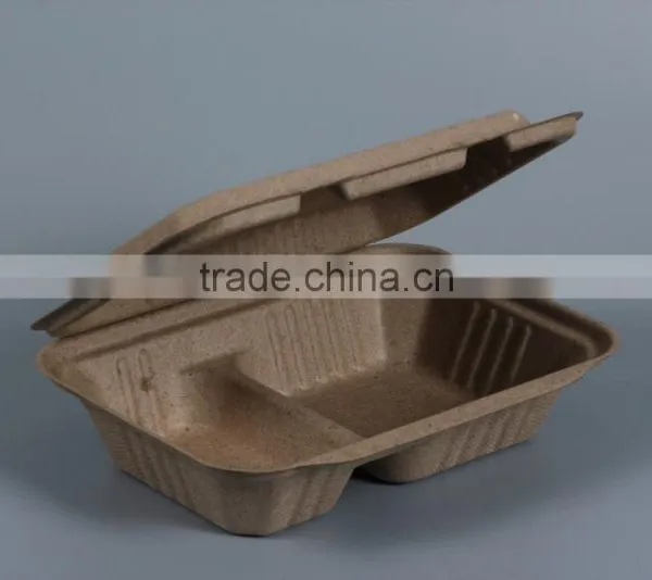 Biodegradable Sugarcane Bagasse 1000ml Food Container 9x6 Inch photo-4