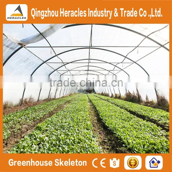 Heracles Large Multi-span PE Film Green House Agriculture & Commercial Used Greenhouse photo-2