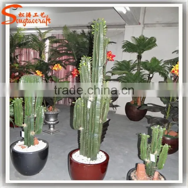 Latest Design Home Decoration Craft Artificial Cactus Plants Make Decoration Plastic Cactus and Plants photo-5
