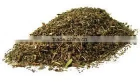Ocimum Sanctum Extract photo-4