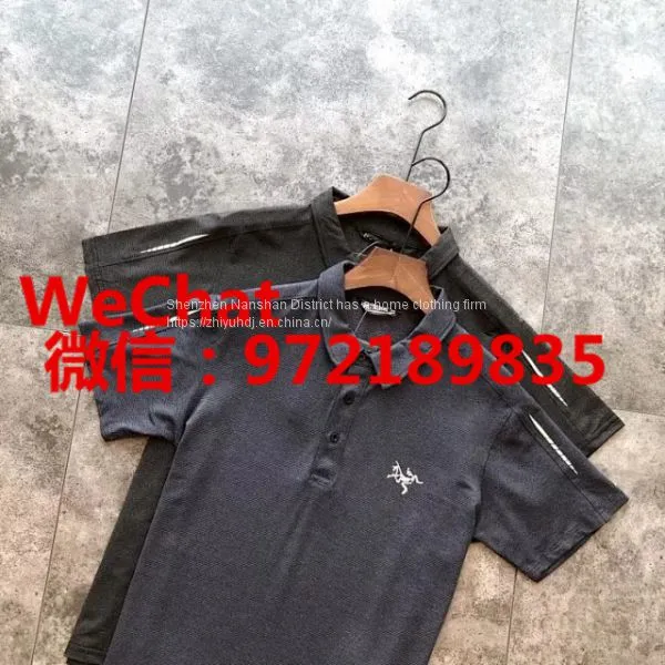 Provide Original ARCTERYX Outdoor Quick-drying T-shirt Polo Shirt Factory Supply photo-4