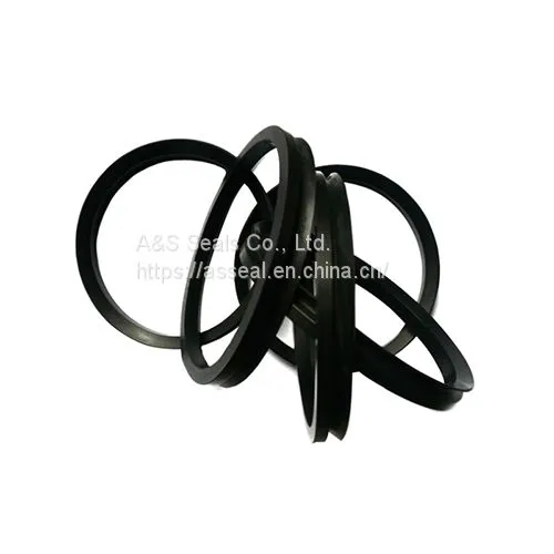 SOG Seals photo-3