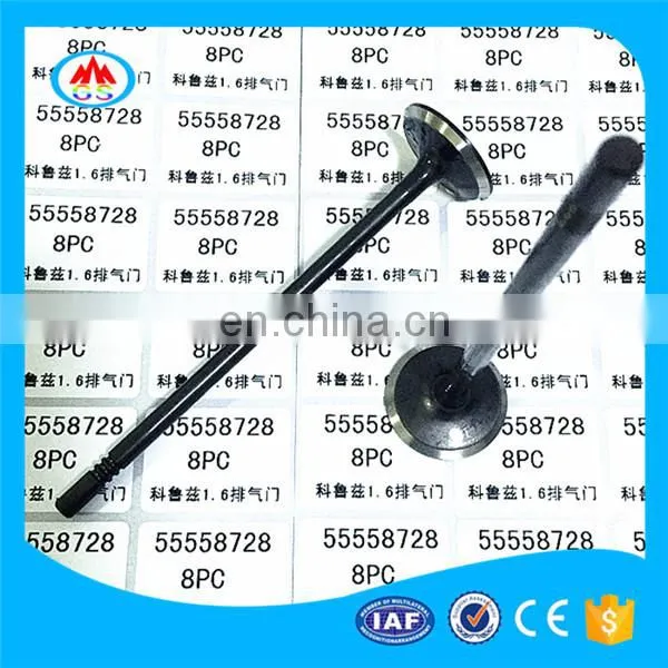 Hot Sale Three Wheel Motorcycle Parts Engine Valves for Bajaj re 205 2017 Petrol photo-3
