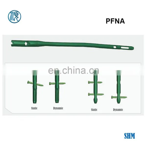 PFNA Nails