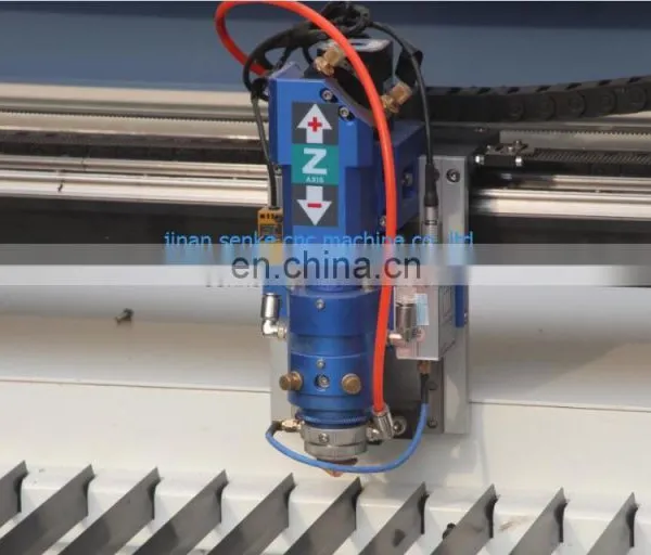 Hobby World Cut Fabric 1325 Co2 Laser Cutting Machine 300w With CCD Camera photo-5