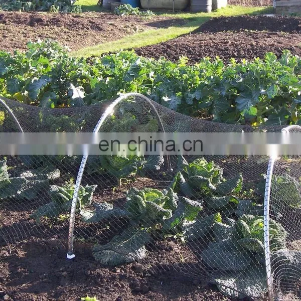 Greenhouse Black Color Farm Plants Protection Mesh Anti Insect Net photo-5