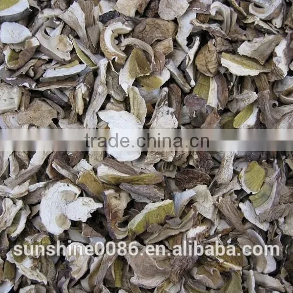 White Boletus Edulis Mushroom photo-3