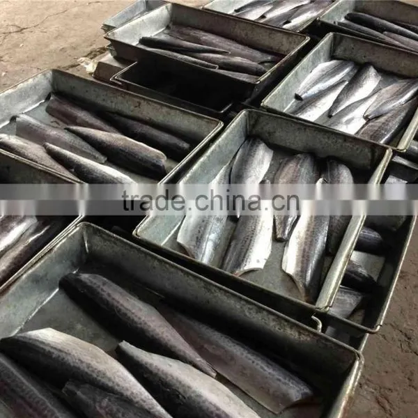 Bone off Frozen Spanish Mackerel Fillet and Scomberomorus Niphonius photo-4