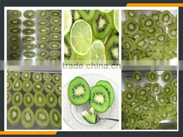 Leader Kiwi Fruit Slicer With CE&ISO photo-4