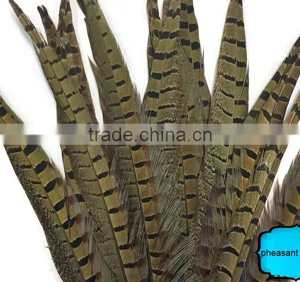 Wholesale Reeves Pheasant Tail Feathers, Natural Pheasant Tail Feathers photo-3