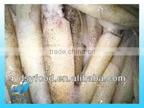 Frozen Squid After Cleaning photo-2