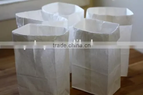 Durable Service Best Sell Customized Luminaries Paper Bags photo-4