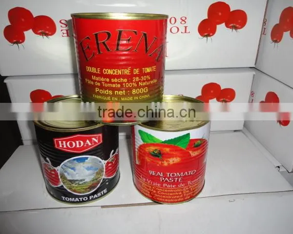 Factory Supply 800gram*12tins Tinned Tomato Paste photo-3
