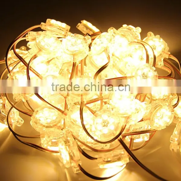 High Brightness Pixel Light 30mm DC12V SMD5050 6PCS Single Color For Led Advertising Board photo-2