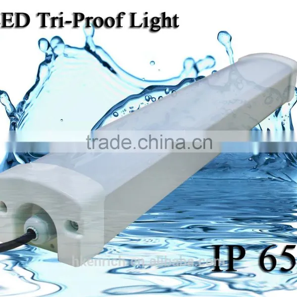1.5m 5ft 50W IP65 Led Tri-proof Light With 5 Years Warranty photo-4