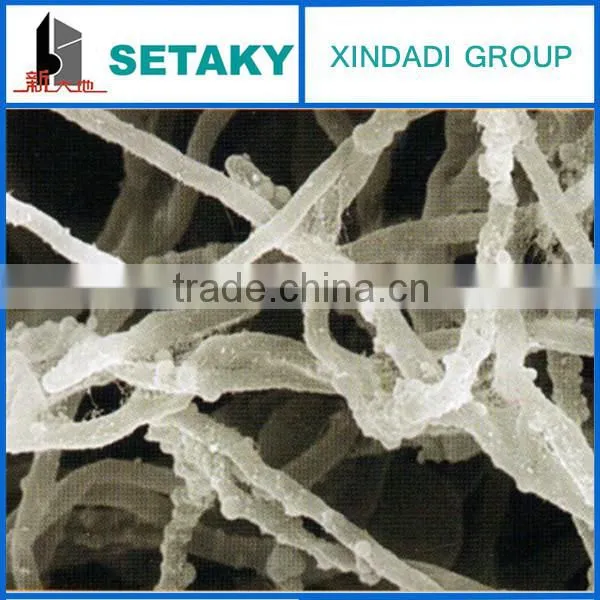 Wood Fiber photo-2