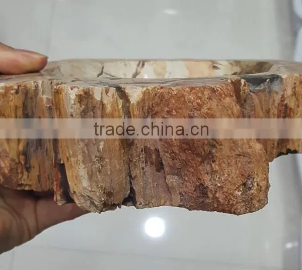 Petrified Wood Stone Fossil Ashtray photo-3