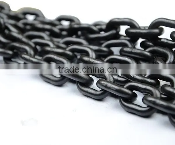 China Online Shopping Building Hoist Chain Hoist Pulley photo-6